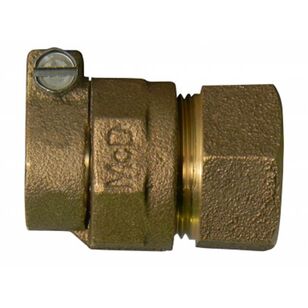 74754-33 1 1/2X1 Adapter Pep X Fnpt - Nl