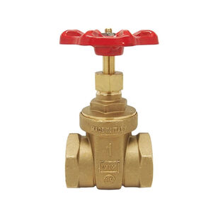 RWV® ECO-VALVE 206AB Series 206AB-2 Gate Valve, 2 in, FNPT, Brass, 125 WSP, 200 WOG