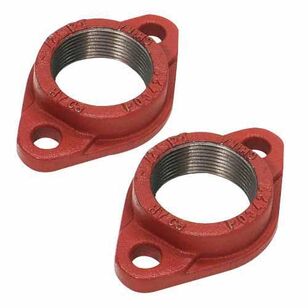 Bell & Gossett 101005 Circulator Flange, NPT, 1 in Fitting, Iron