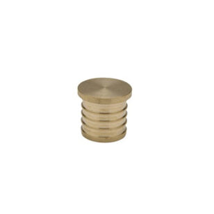 Zurn® XL QQP5GX Test Plug, Fits Pipe Size: 1 in, 160 psi, Brass
